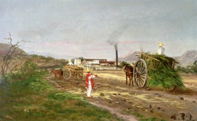 Peasants Collecting Sugar Cane, Central America, c.1840 by American School